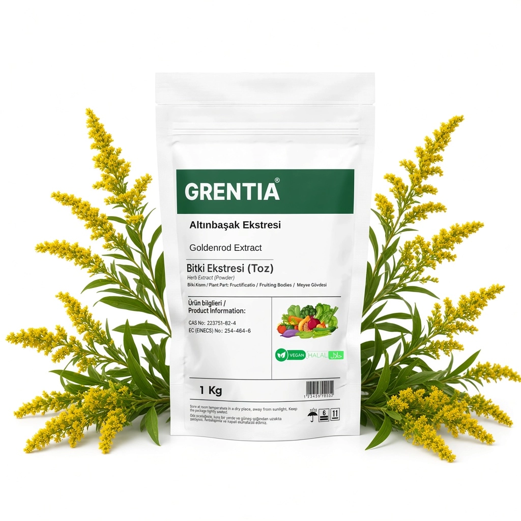 Goldenrod Extract (Powder Extract) 1 Kg