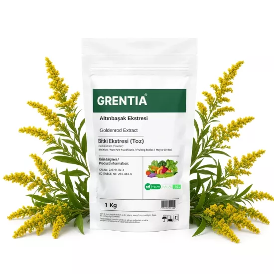 Goldenrod Extract (Powder Extract) 1 Kg
