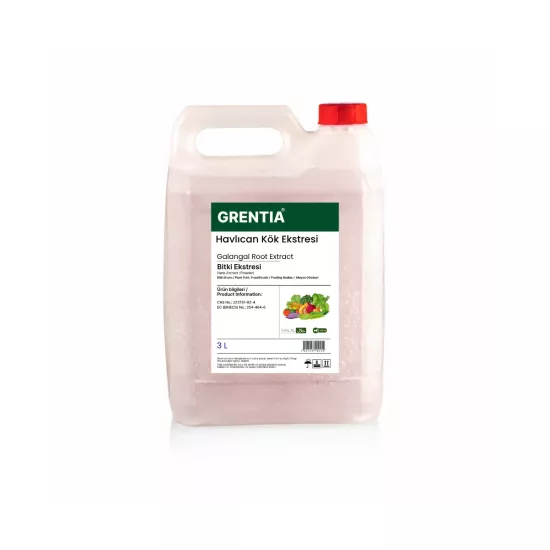 Galangal Root Extract (Liquid Extract) 3 Liters