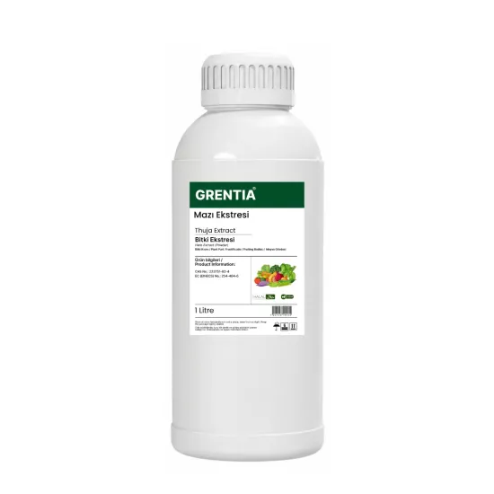 Thuja Extract (Liquid Extract) 1 Liter