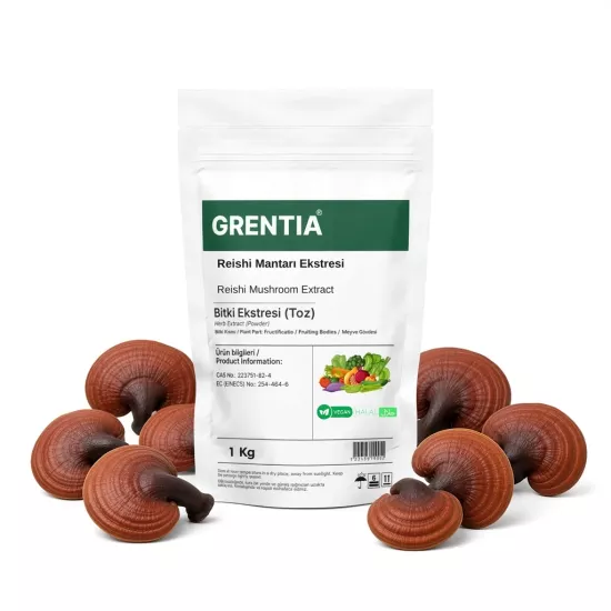 Reishi Mushroom Extract (Powder Extract) 1 Kg