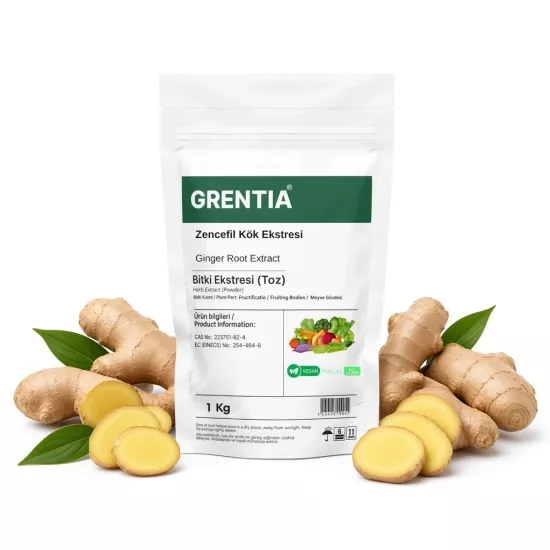 Ginger Root Extract (Powder Extract) 1 Kg