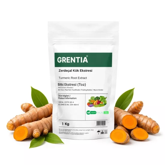 Turmeric Root Extract (Powder Extract) 1 Kg